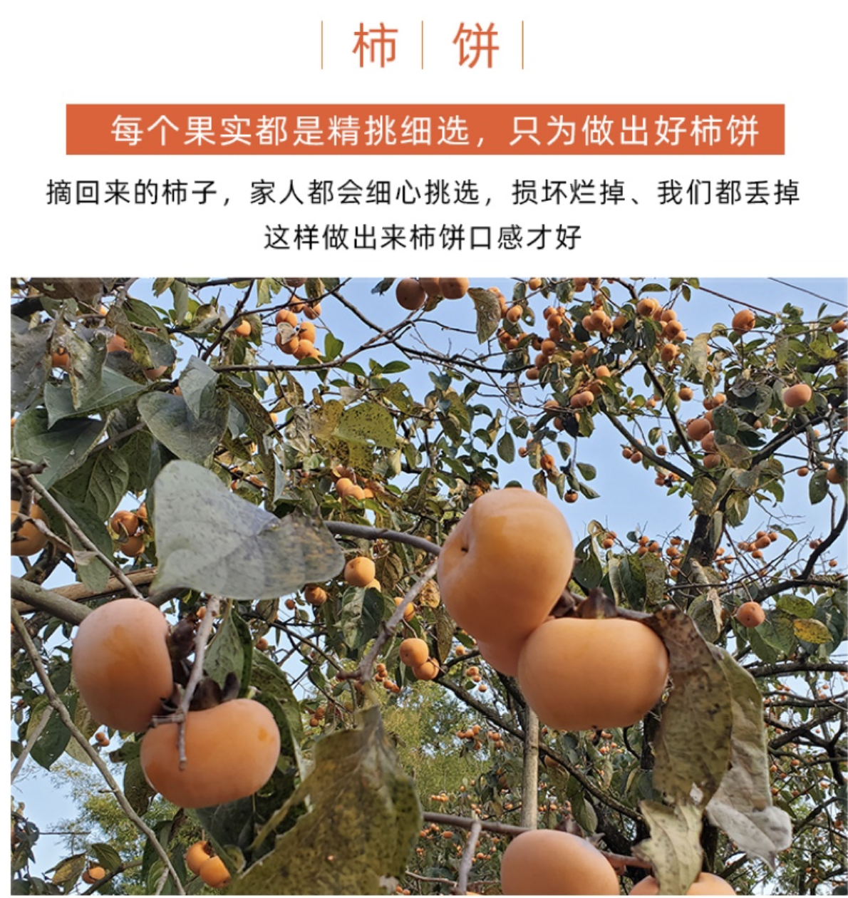 Screen Shot 2021-10-15 at 1.22.22 PM