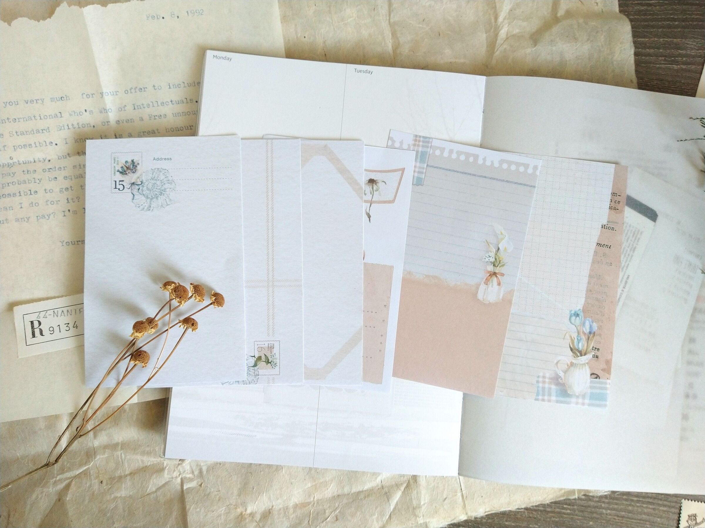 2603091069698280 (1)