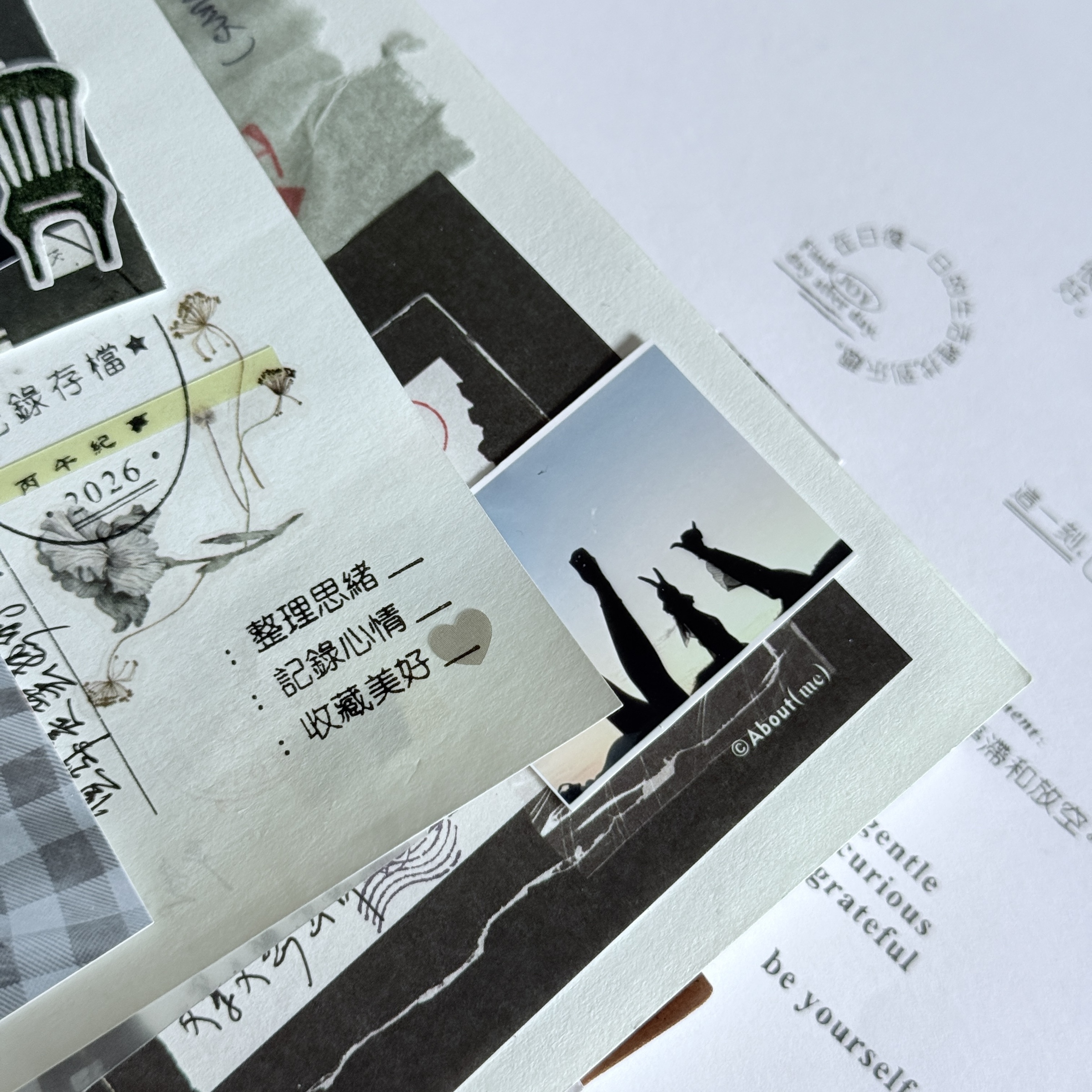 整理；記錄；收藏