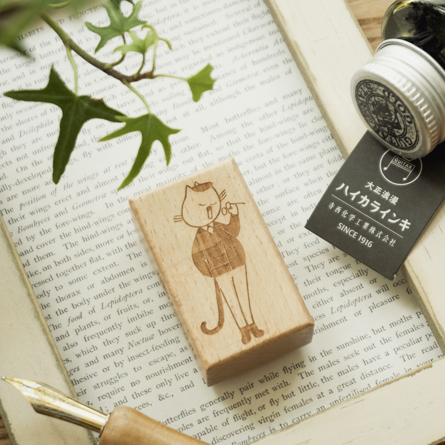 Enchanted_Library_pts-3