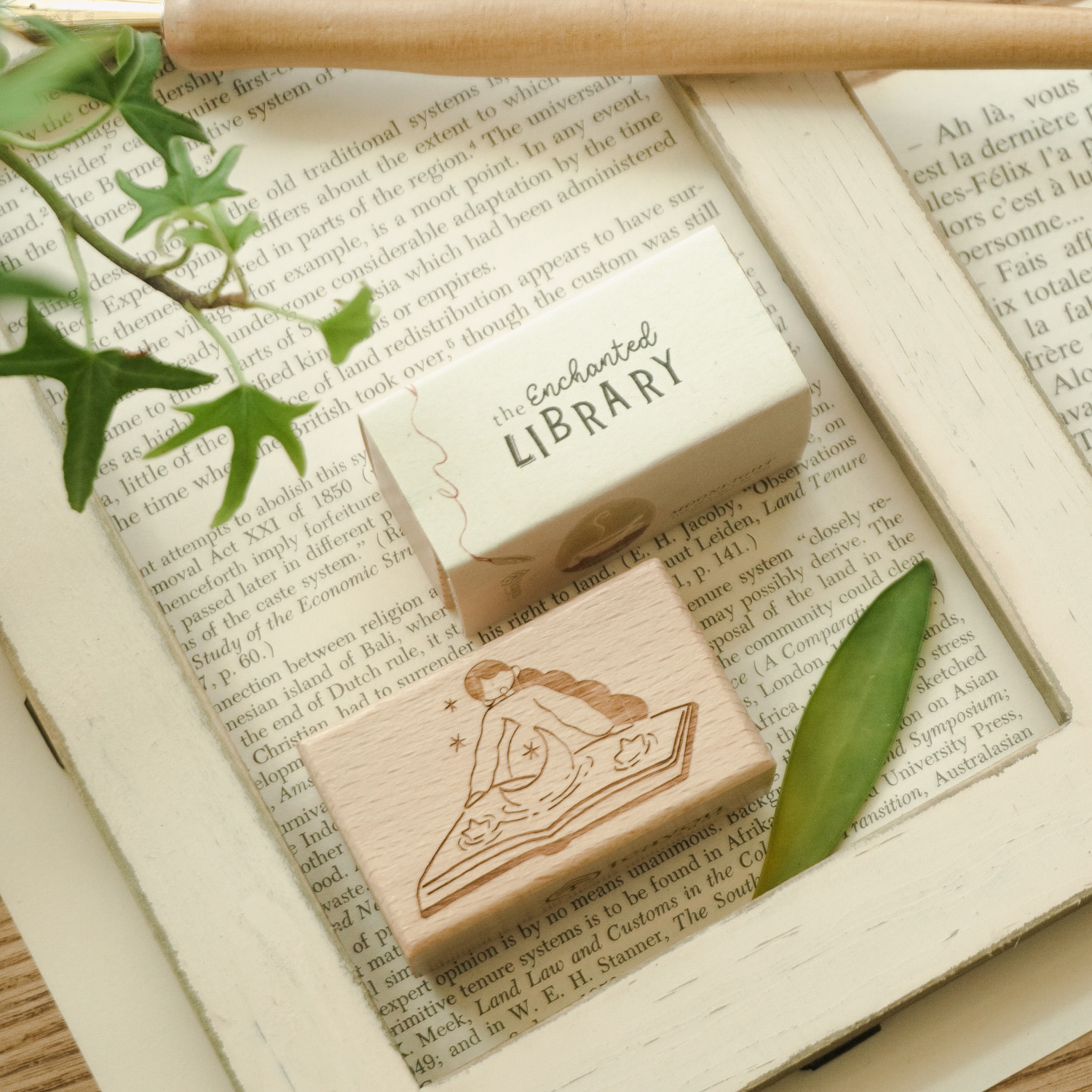 Enchanted_Library_pts-24
