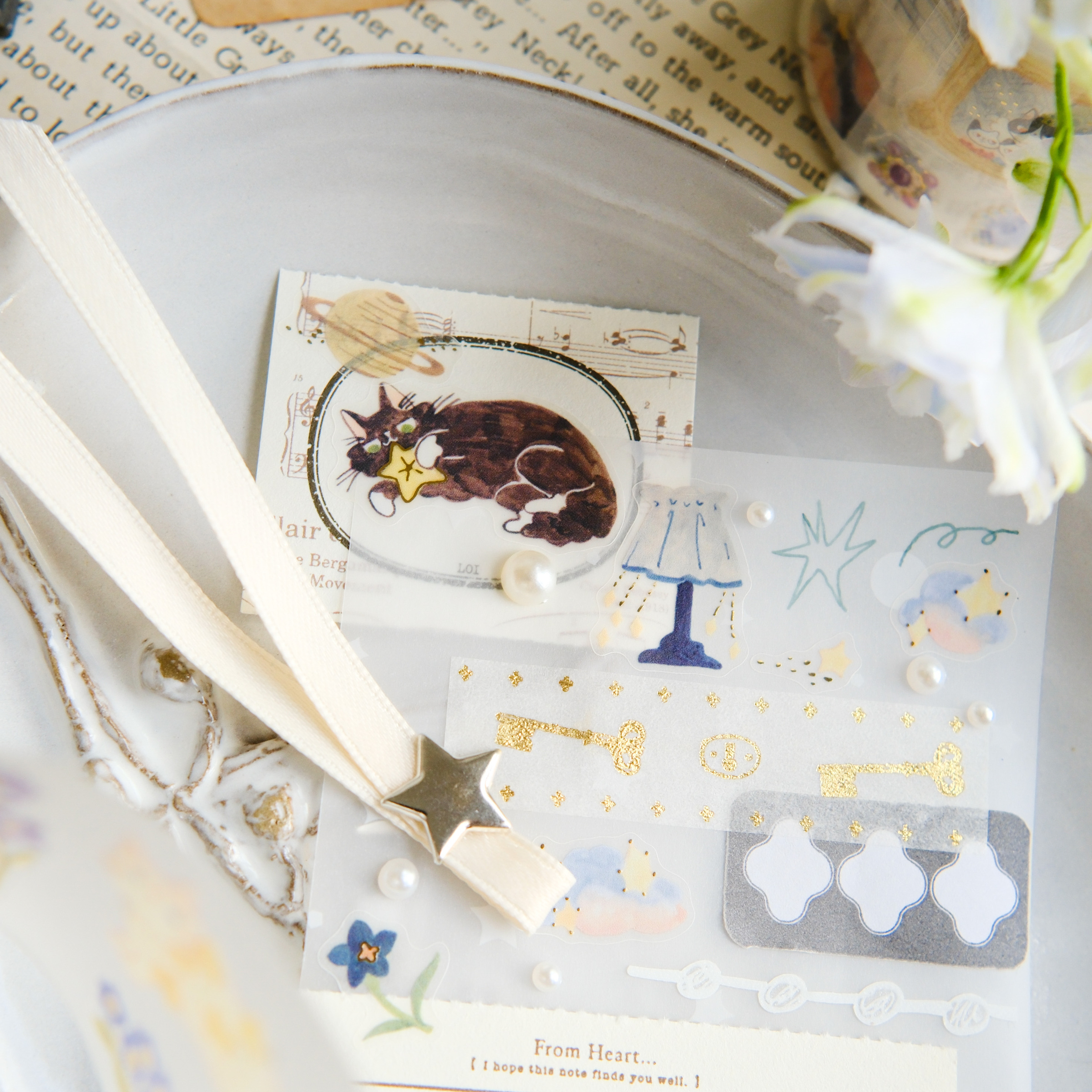 catnstarsss-109