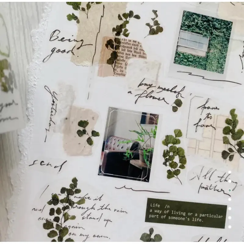 tw-11134207-7r98o-lq1rwe6wpihk88