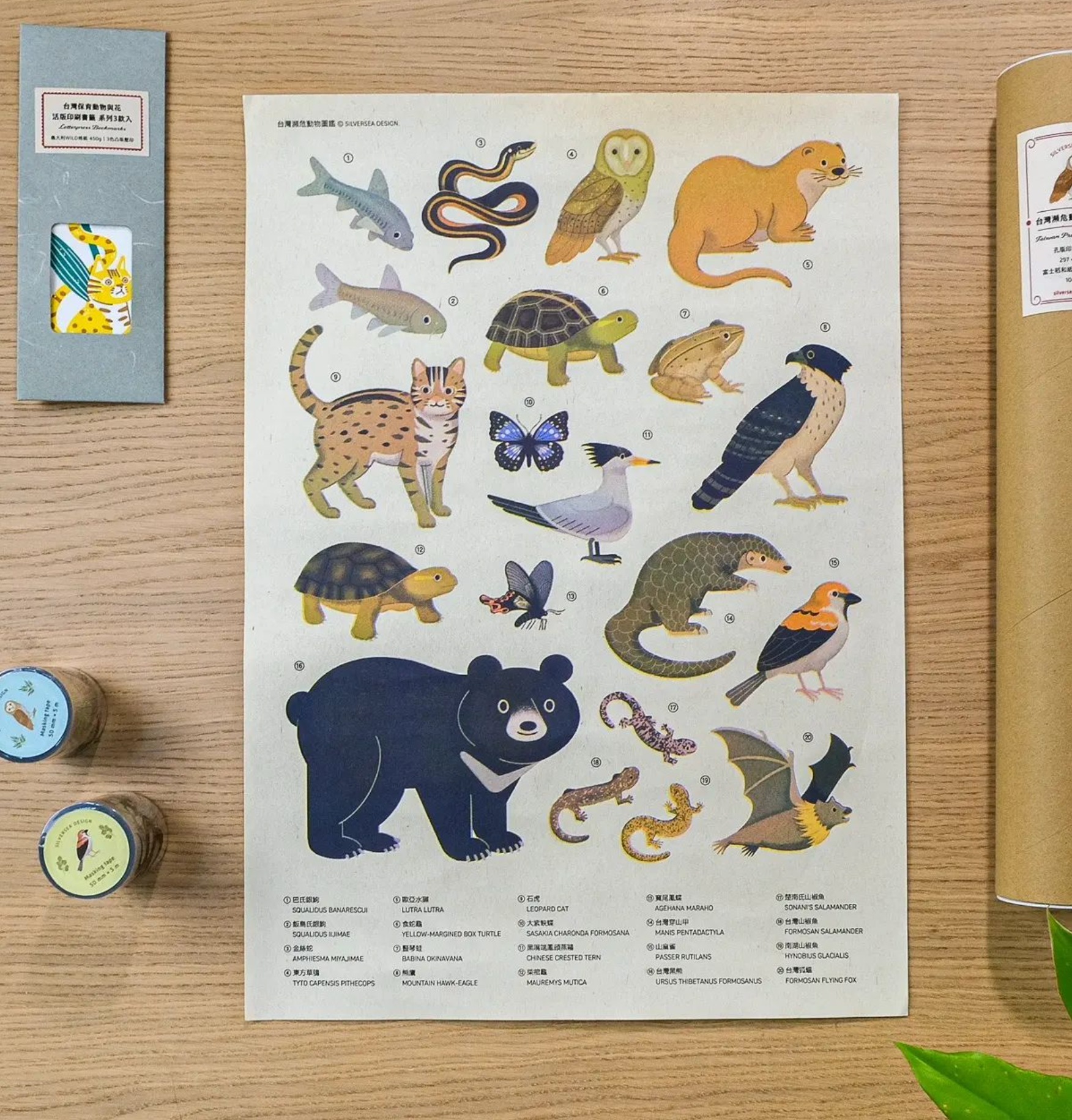 484861720_1069935805174762_3570662422465112397_n