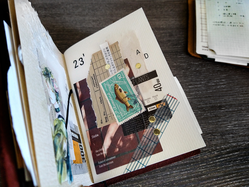 IMG_20230124_104958148_HDR