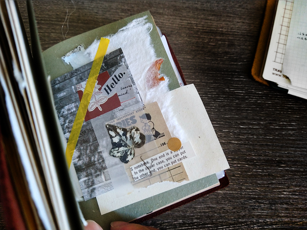 IMG_20230124_105030407_HDR