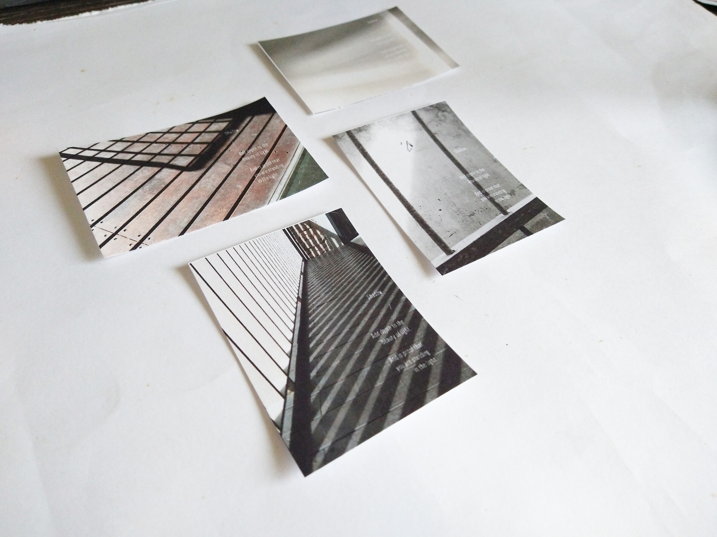 InShot_20250225_152434343