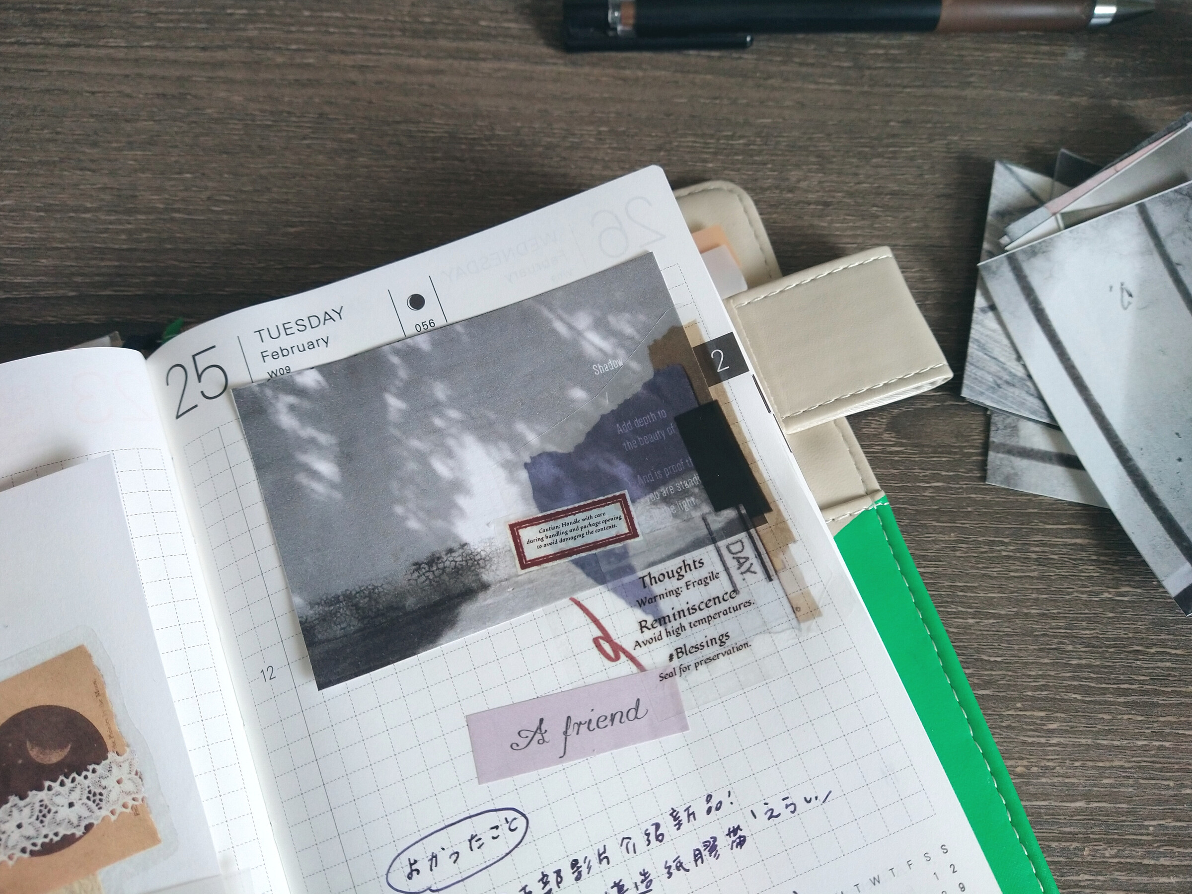 InShot_20250226_111937120