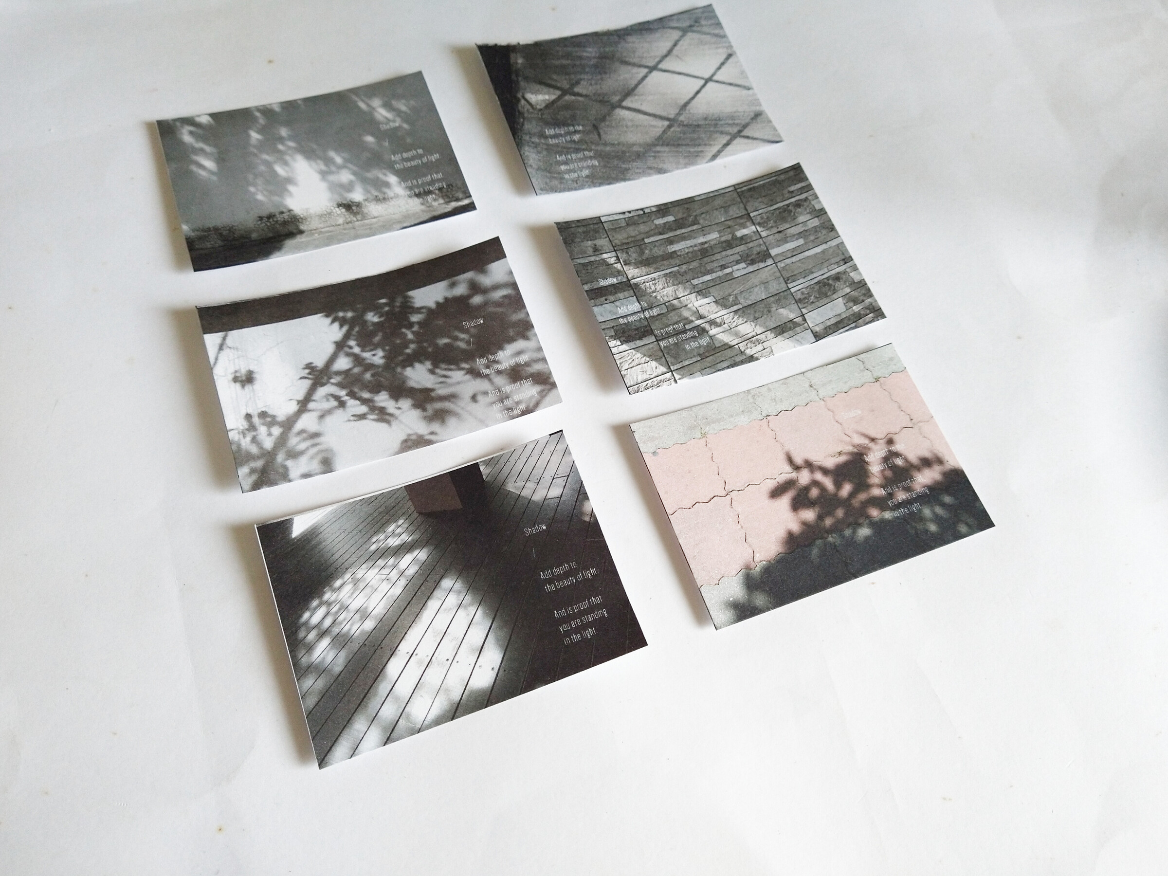 InShot_20250225_152412653