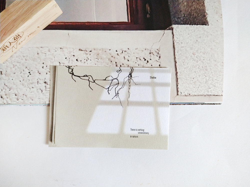 IMG_20240531_141649063