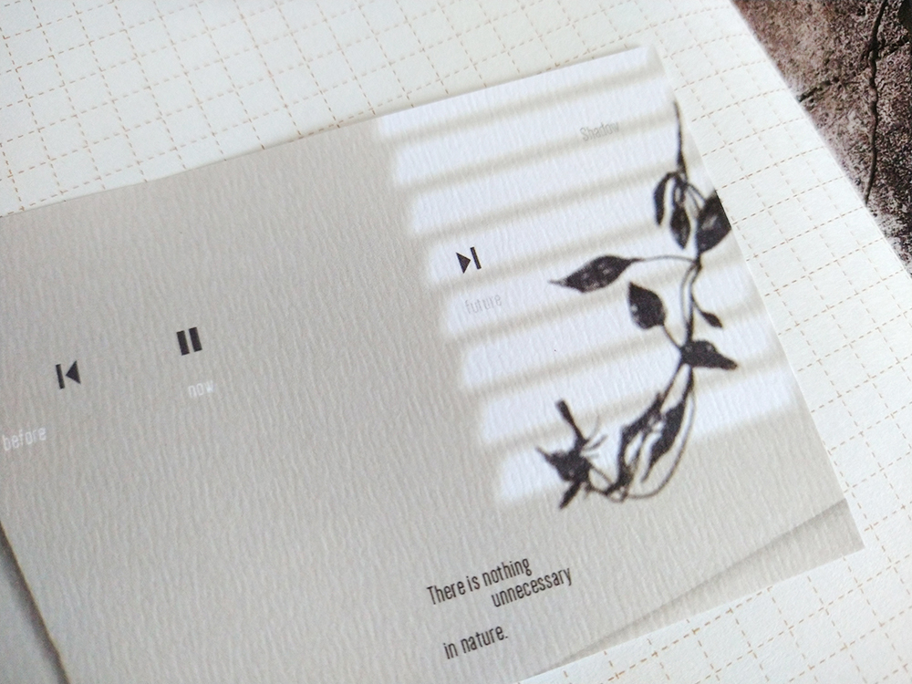 IMG_20240531_141315421