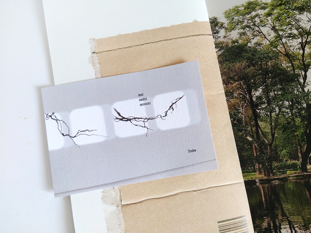 IMG_20240531_141512769