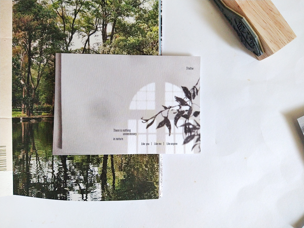 IMG_20240531_141555282