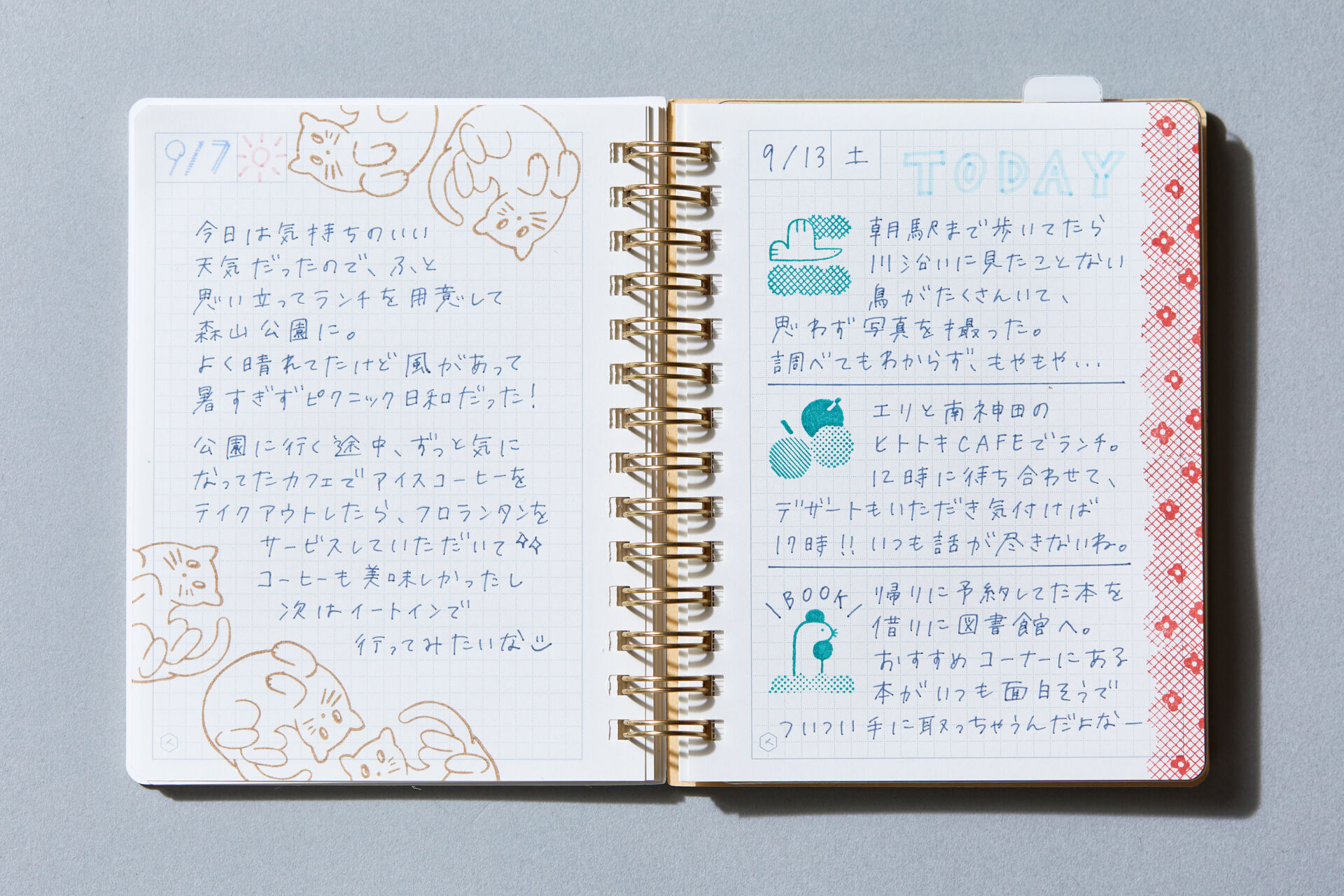 gallery_13
