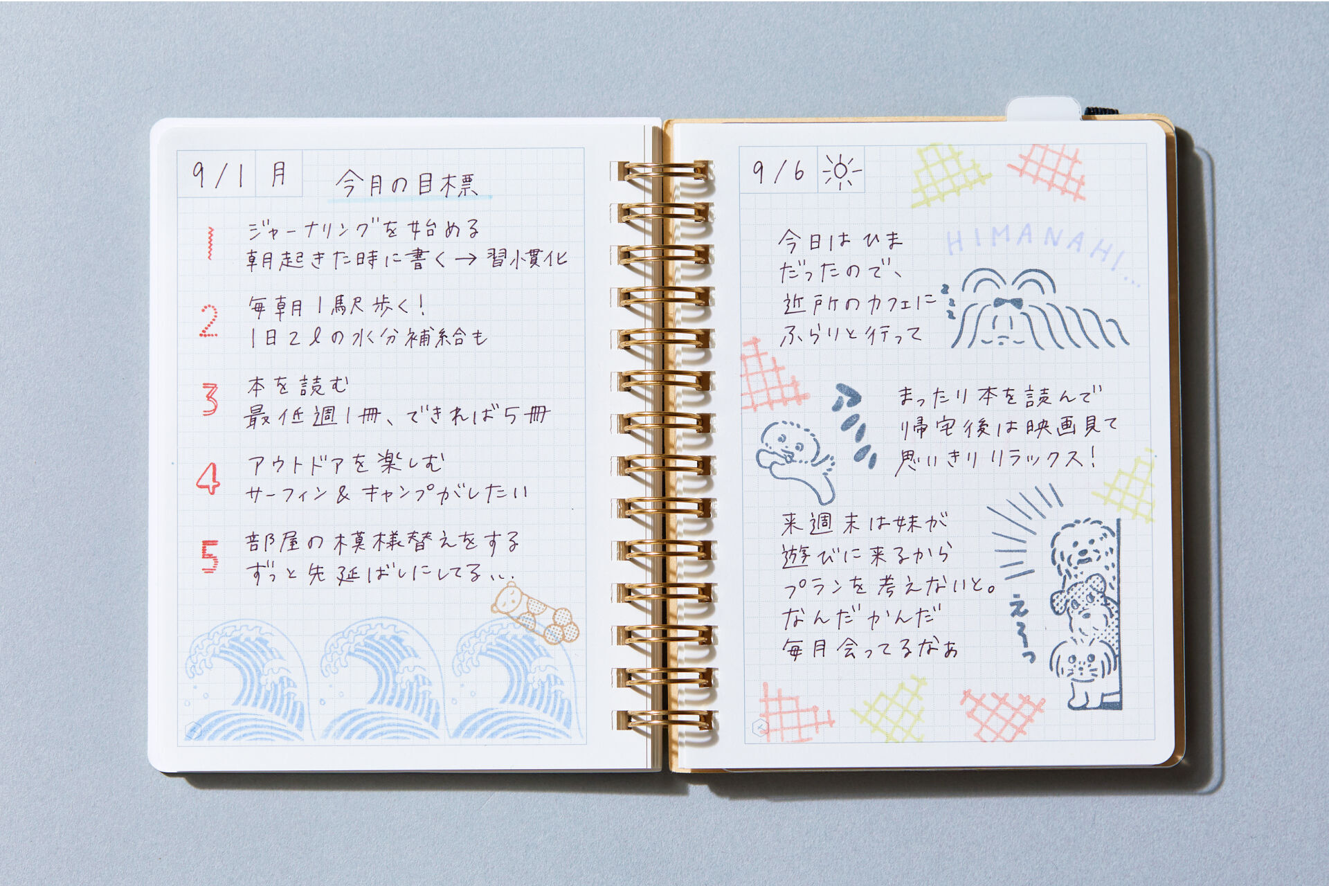 gallery_10