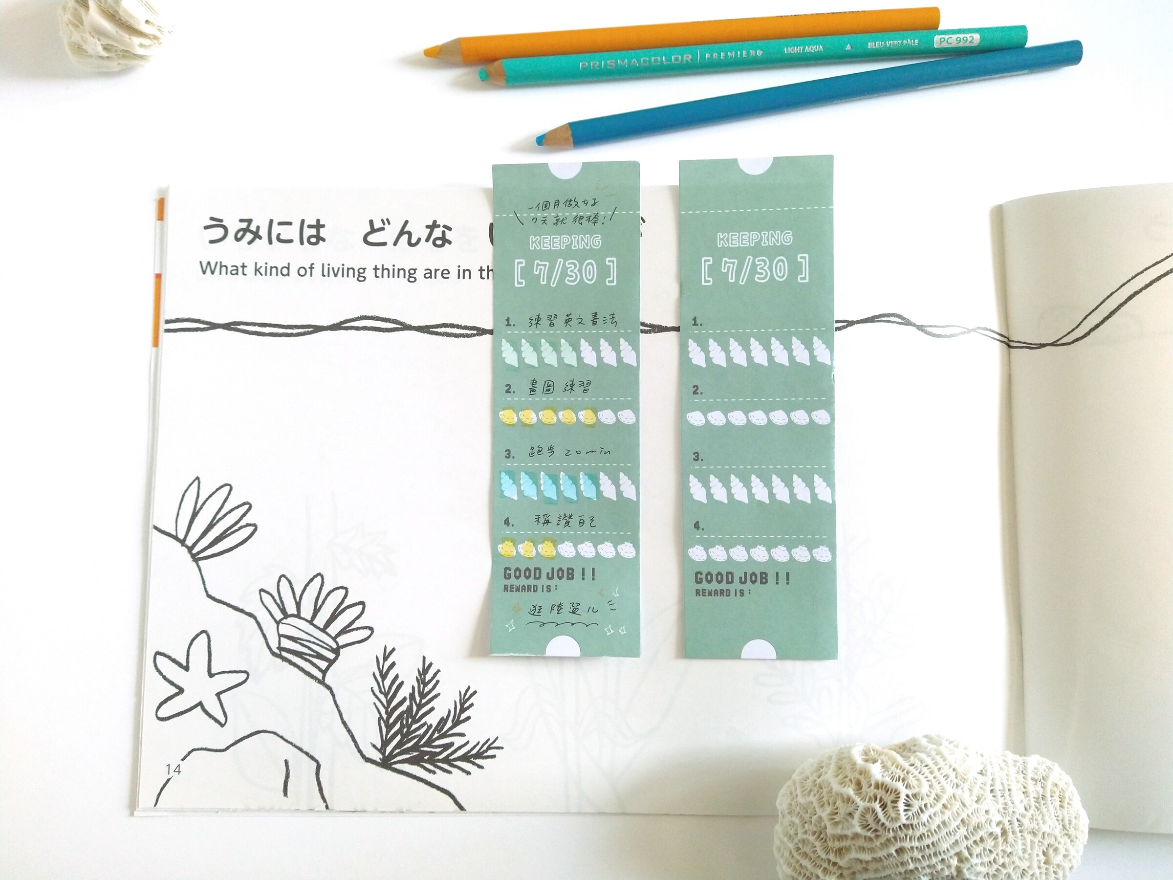 IMG_20250929_091459523~2