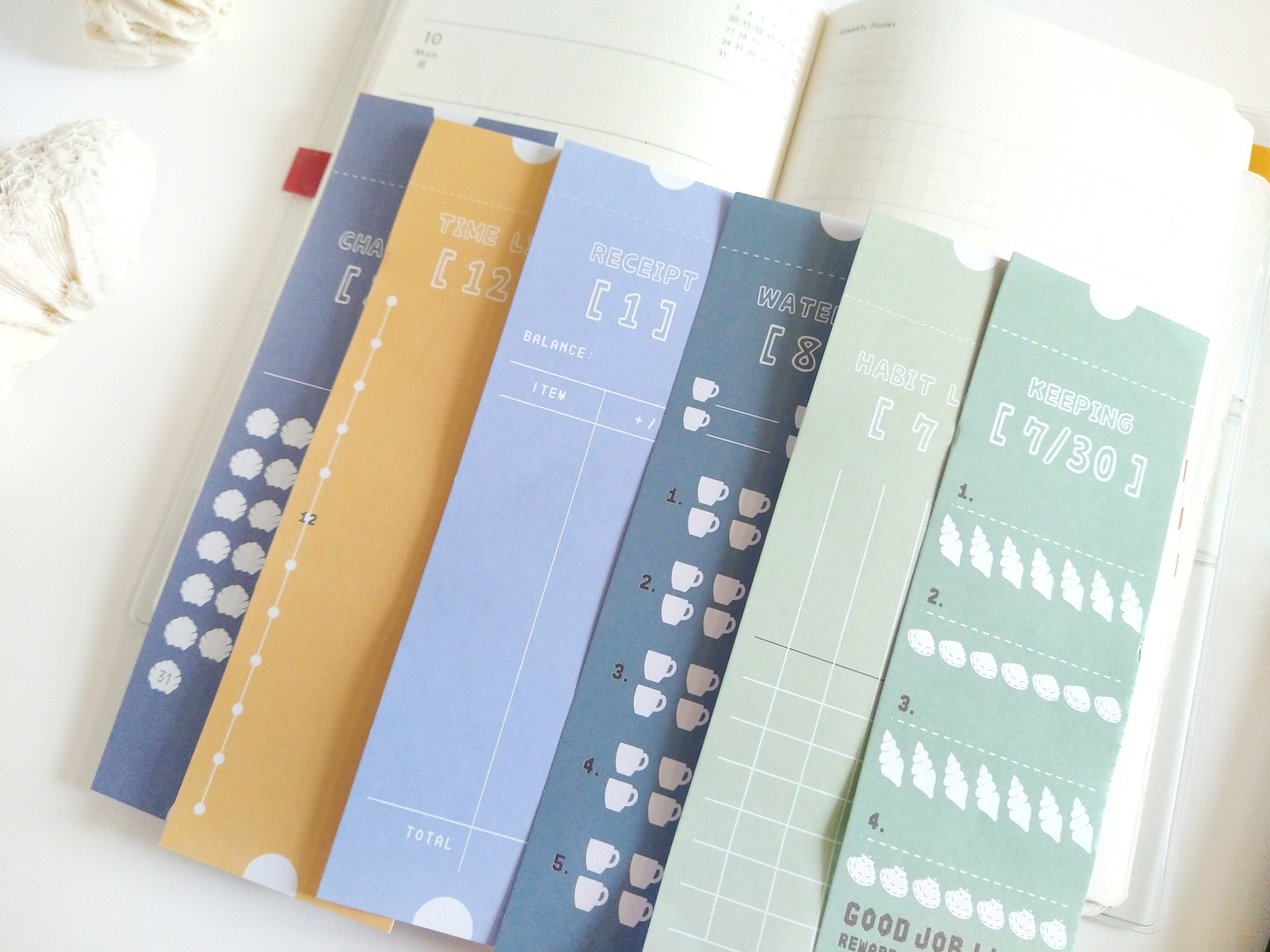 InShot_20250929_093637711