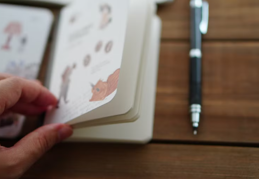 螢幕擷取畫面 2025-11-11 191505