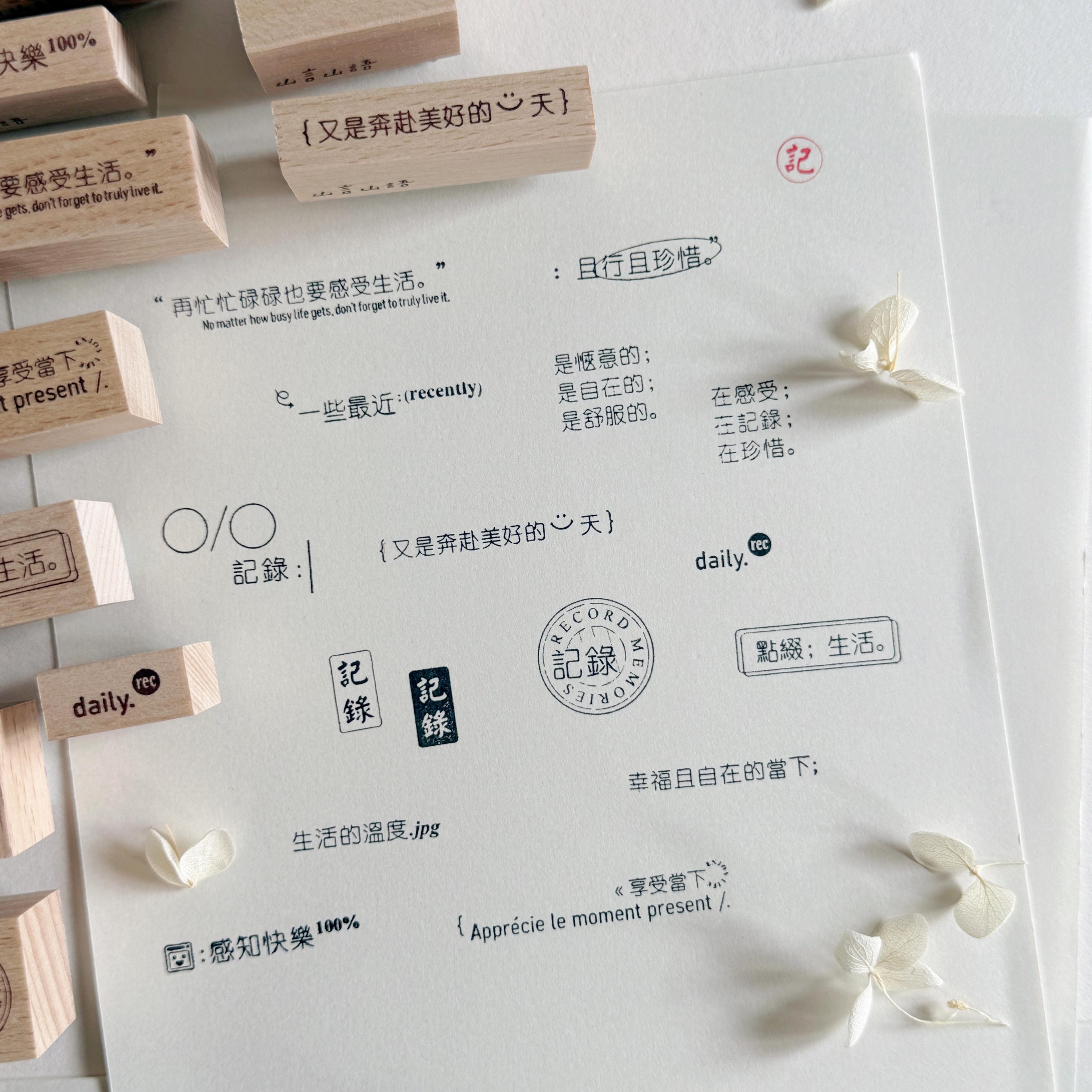 Image_2025-08-28_133613_369