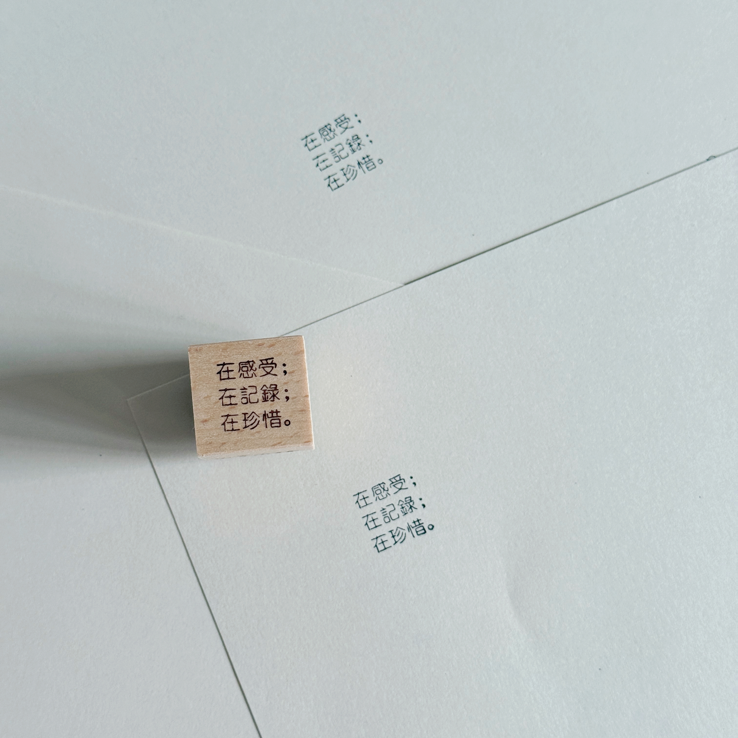 在感受；在記錄；在珍惜