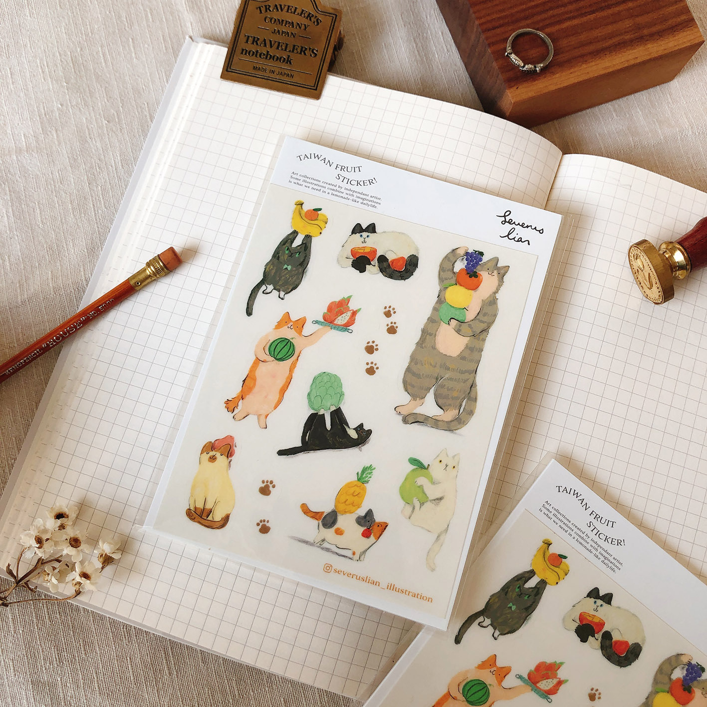 透明防水圖鑑貼紙-水果貓-方