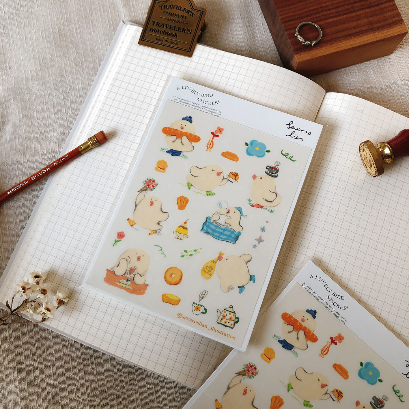 透明防水圖鑑貼紙-小鳥午茶-方