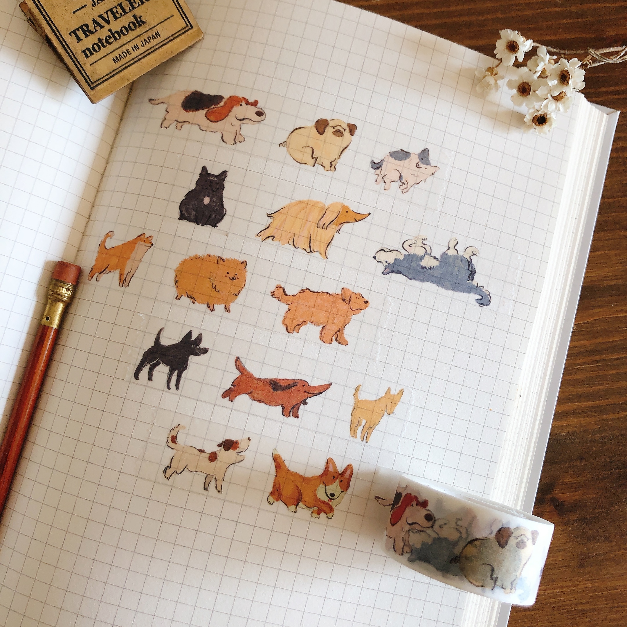 紙膠帶-狗愛你2