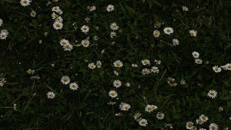 96planet Studio | Have a nice day