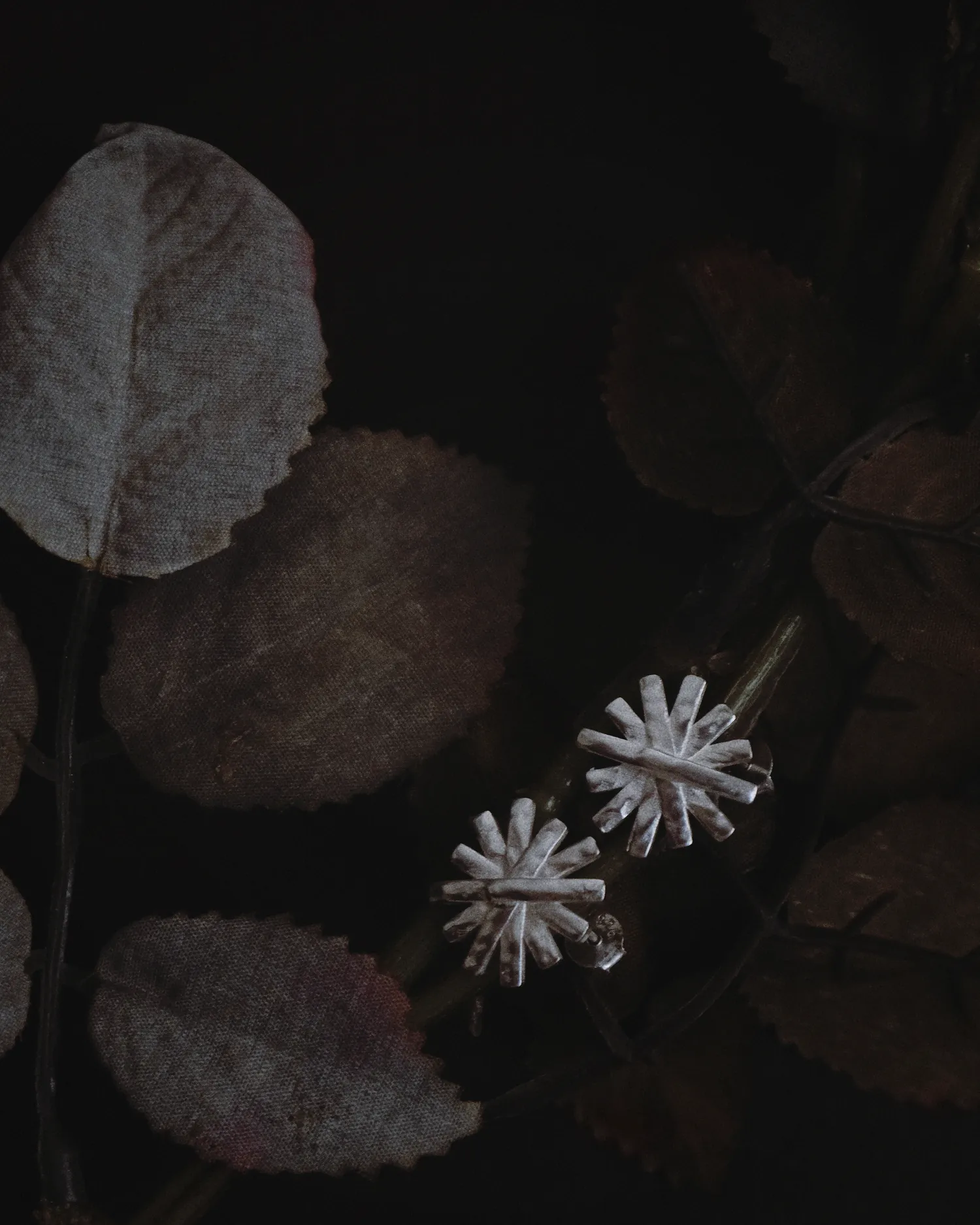 96planet Studio - 2025.《編竹》系列