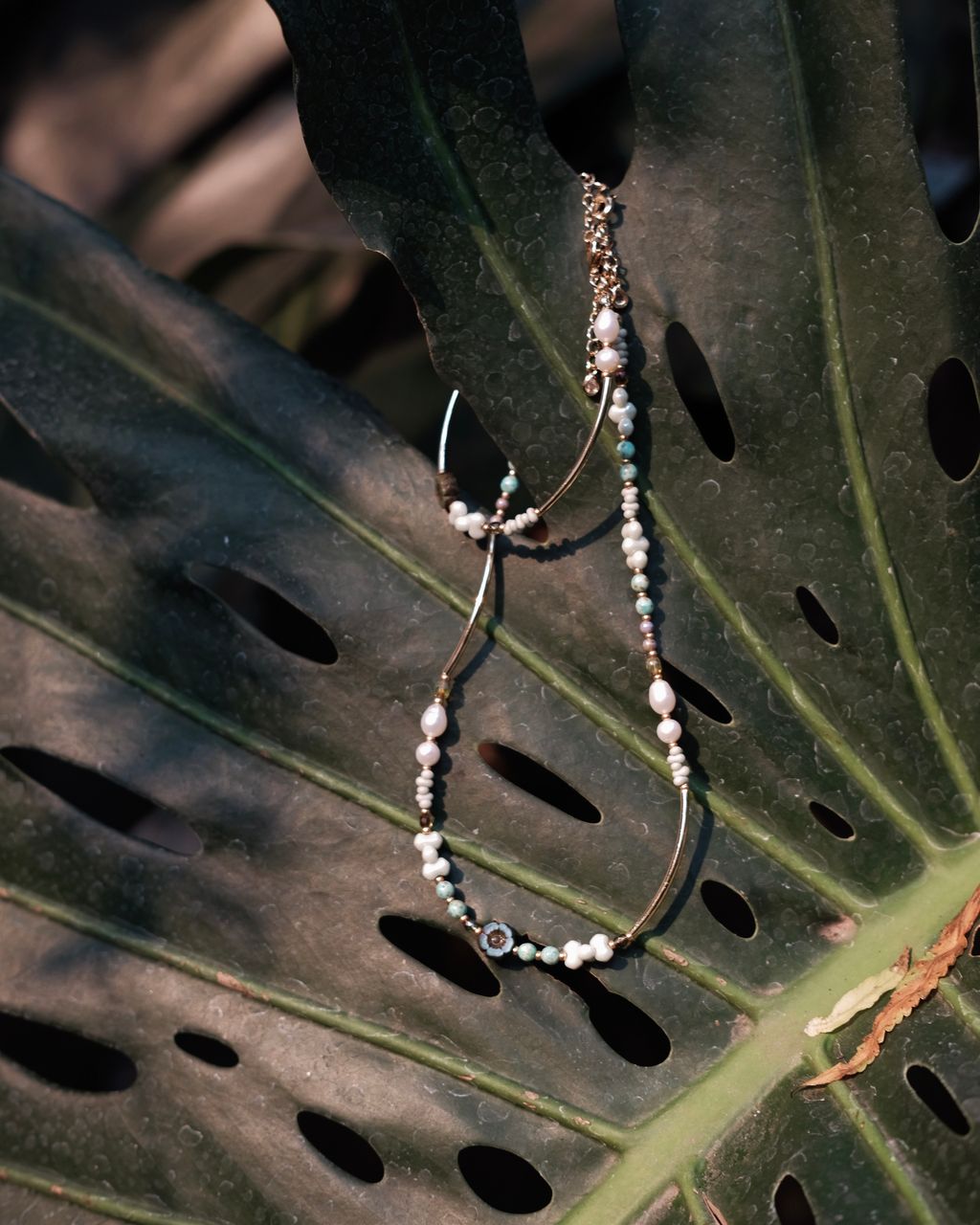 image_8EC0F3A2-A33D-44A0-AB31-8D33A8468900_1775986250