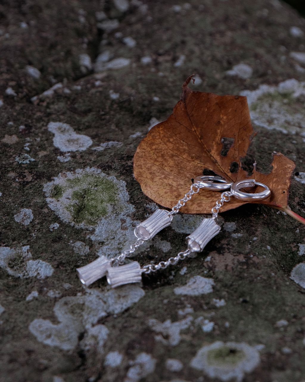 image_B0C10BEF-FEB2-4B06-AD1D-B0C54FA520CA_1759834001