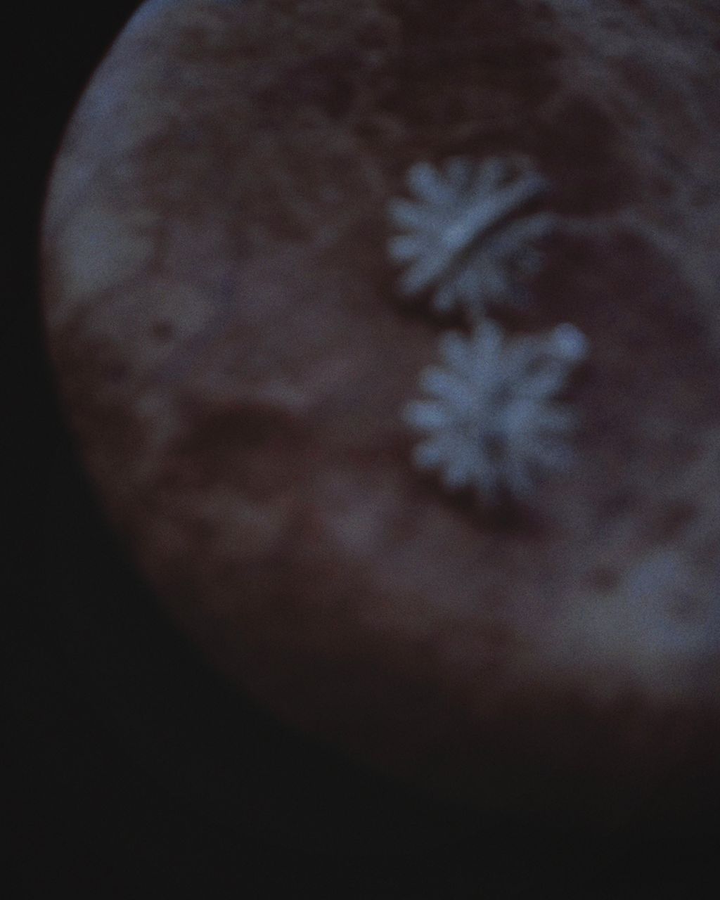 image_D4560169-D1AF-4299-8328-3E6684E3BF69_1766045574