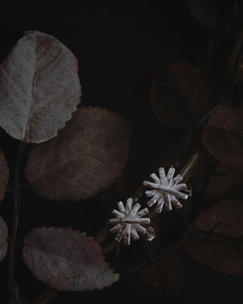 image_AC7B3FF7-090A-4673-8822-F5532D2FD0C7_1766045574