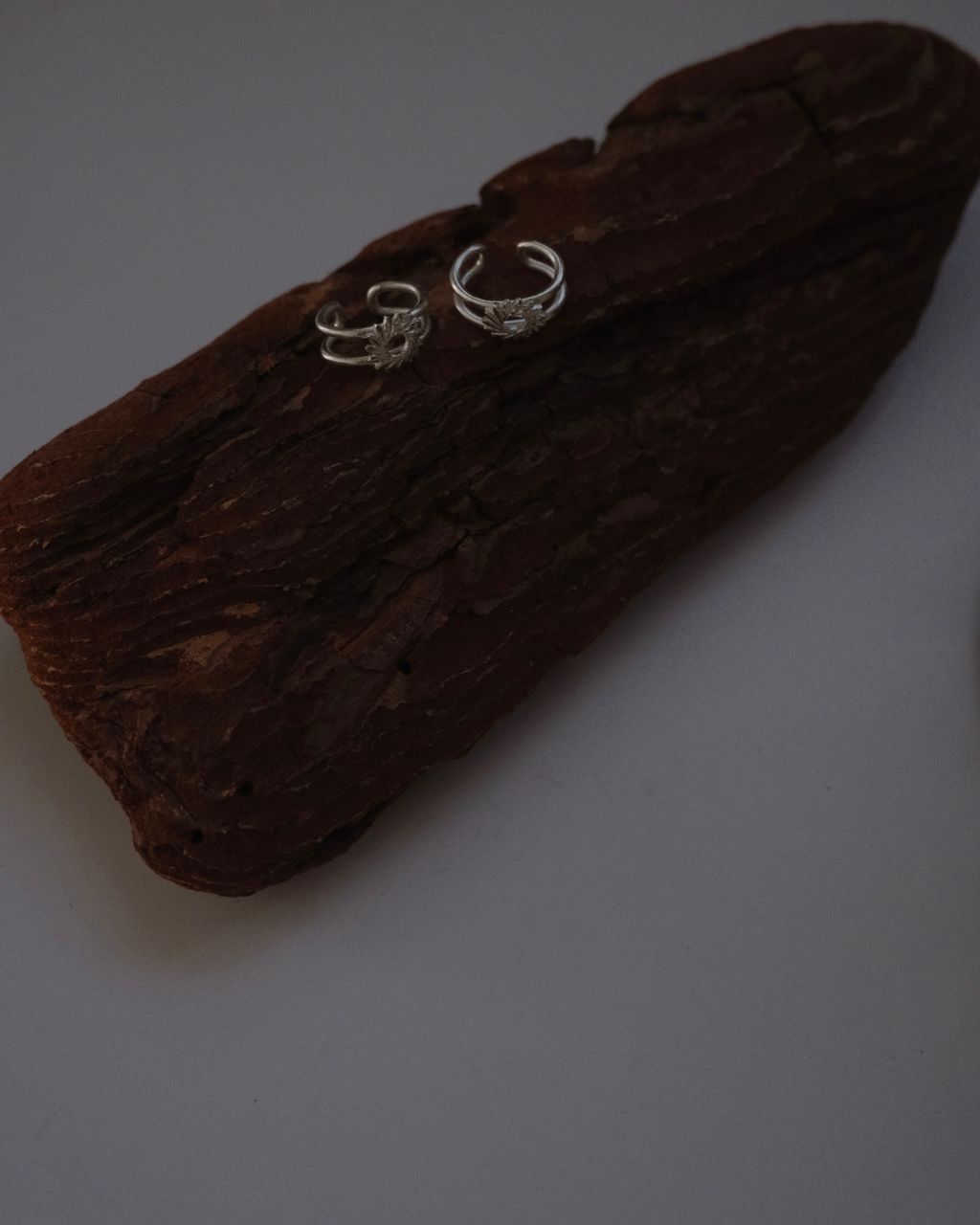 image_7D654E26-40AE-48D1-8CDC-C12820486C33_1766046299