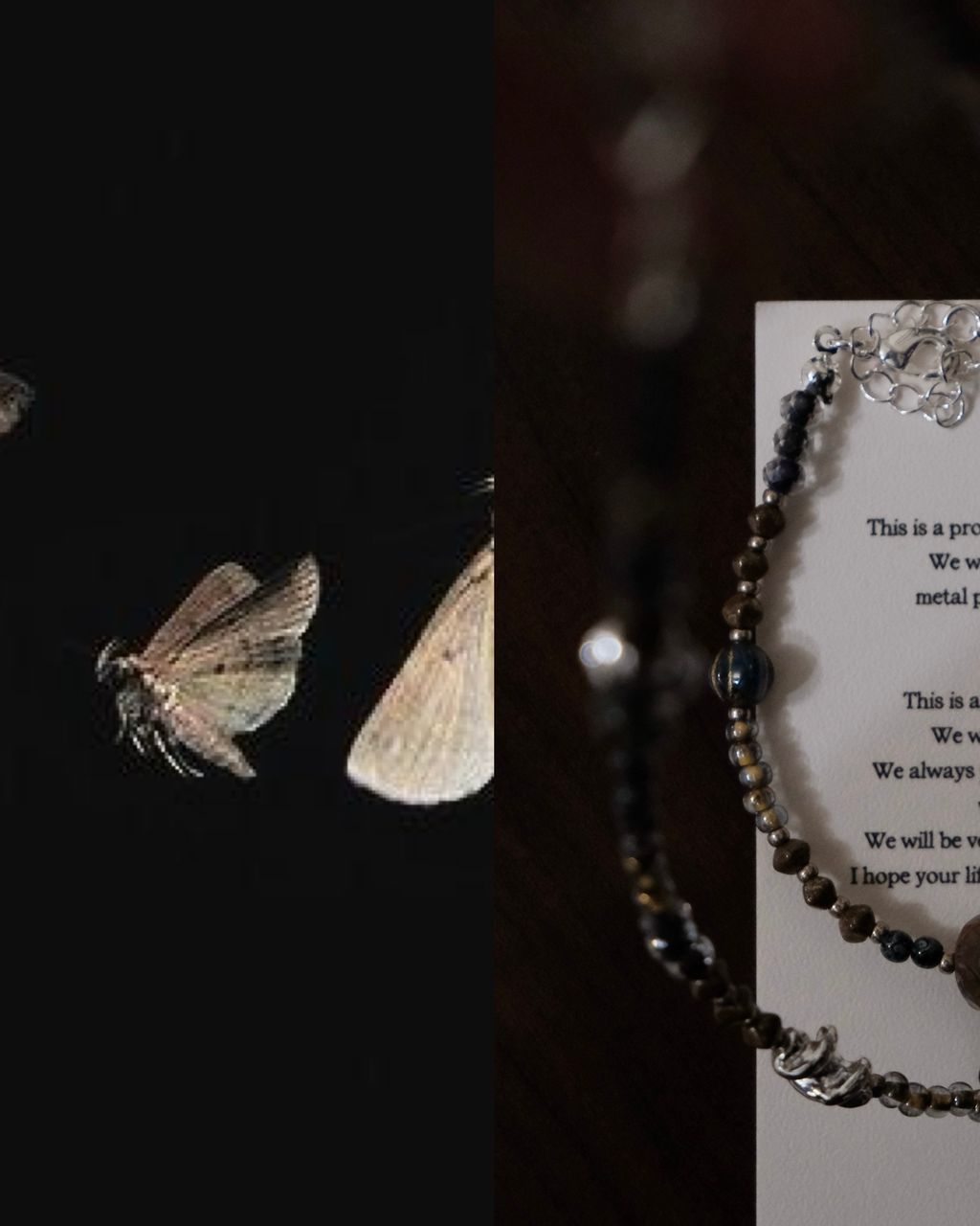 image_BD3F2B63-578D-475E-BC31-CEC3387A9D20_1768029601