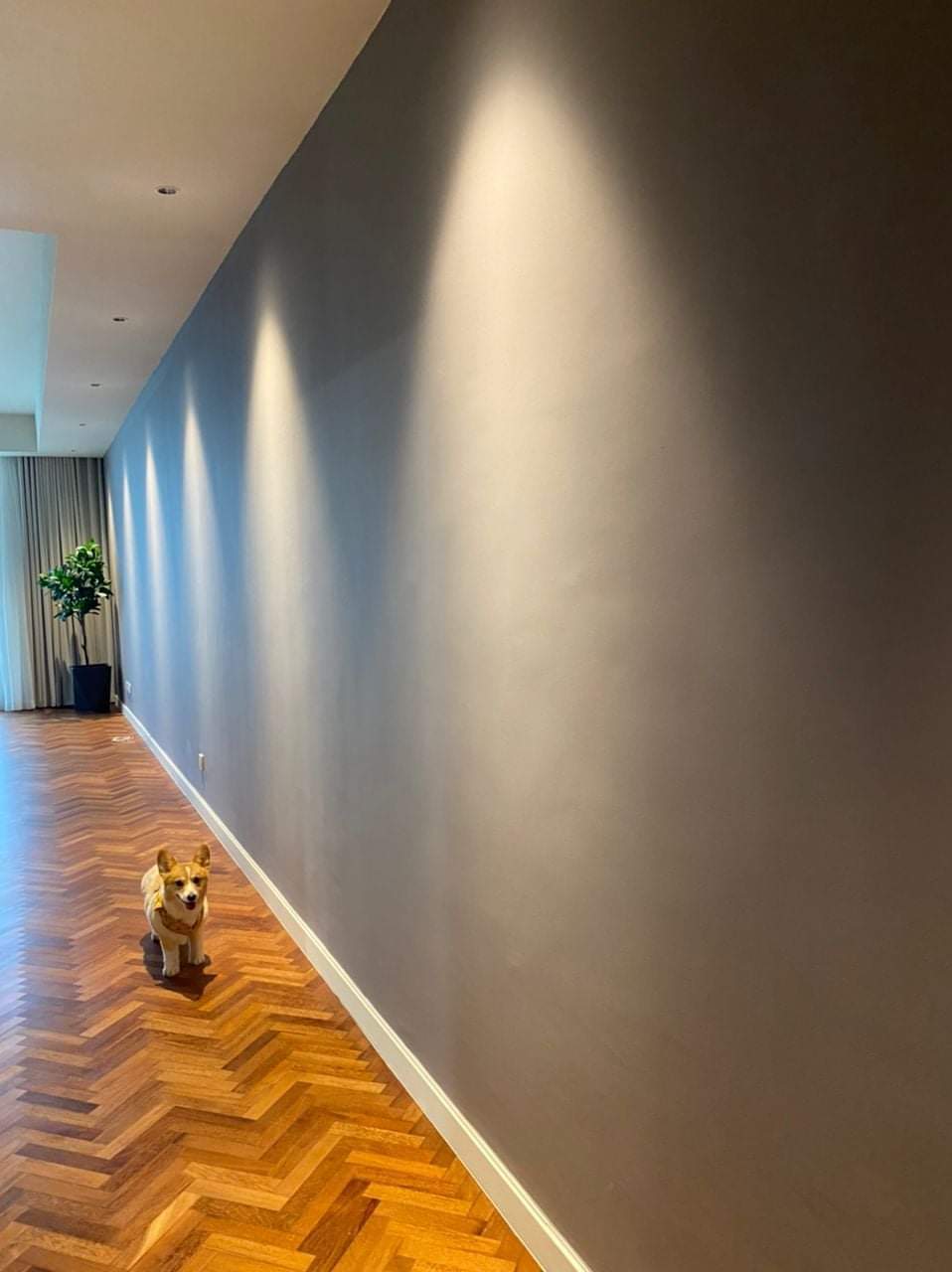 855352ea-a430-4c67-b36a-b84aad9af261