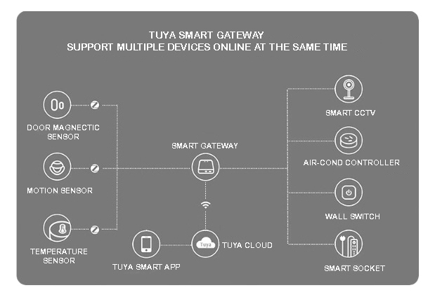 WhatsApp Image 2024-06-22 at 4.12.39 PM
