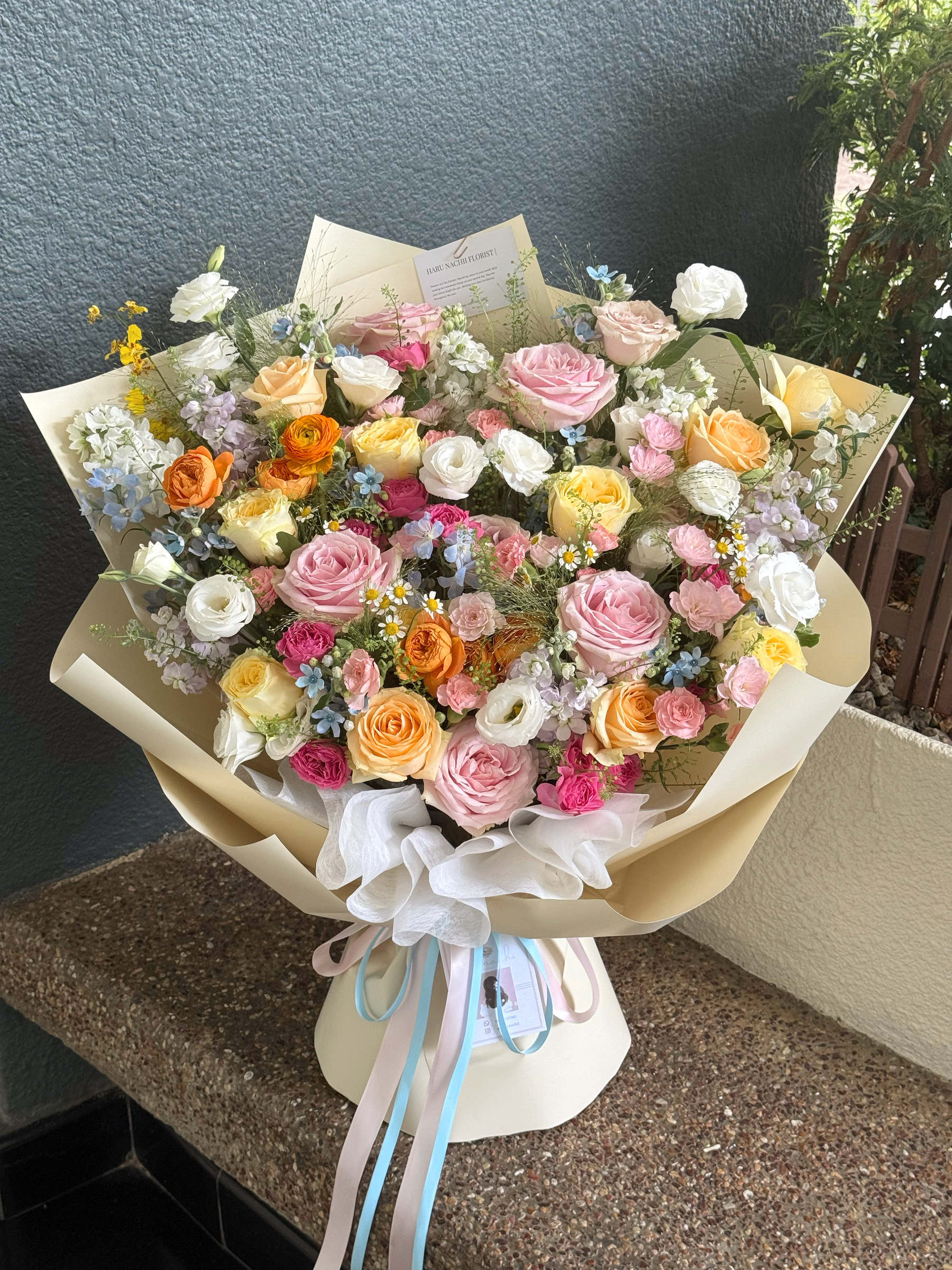 image_0B26A1D3-120C-4156-B68E-AA5EE2E31645_1755459873