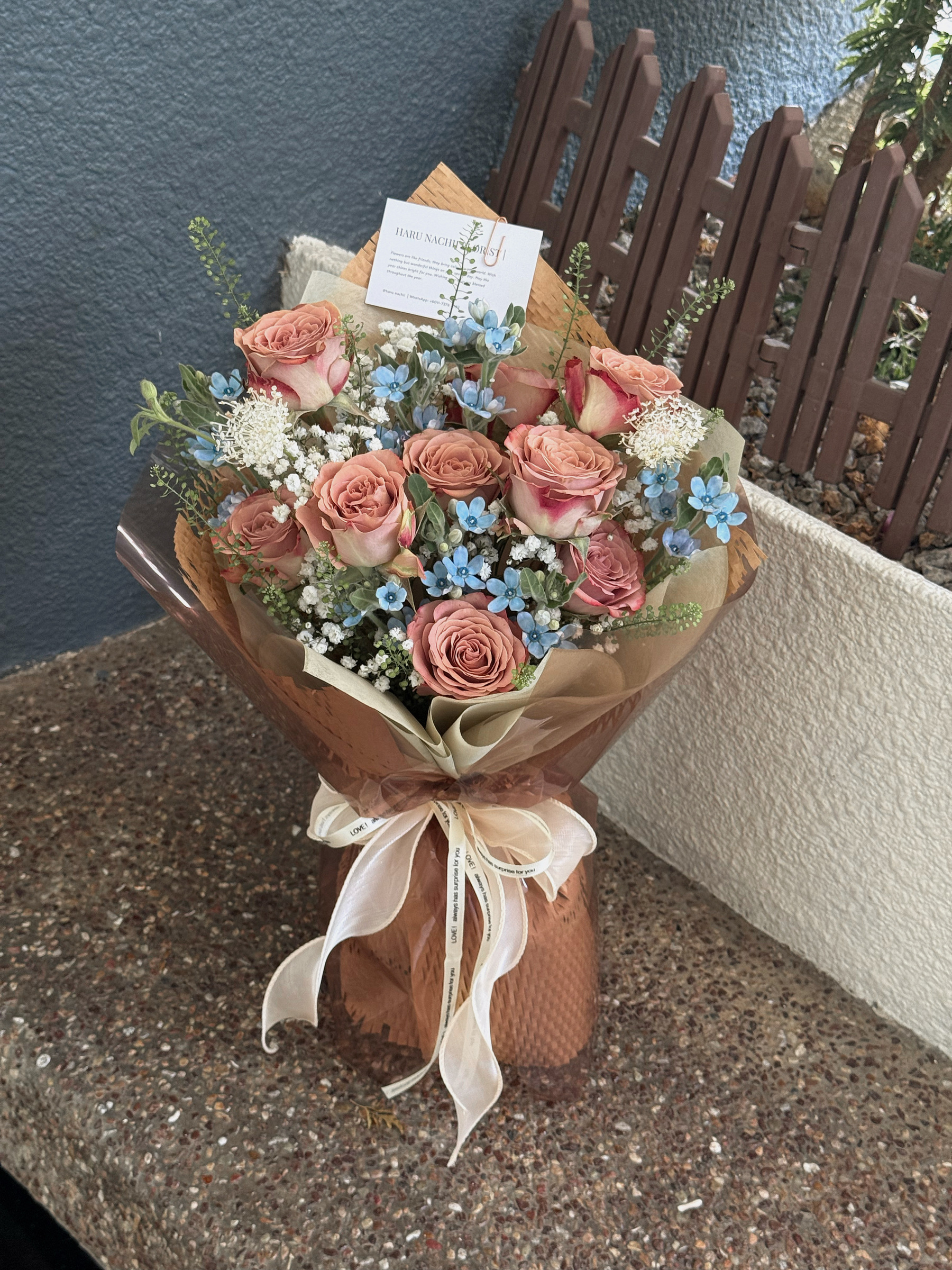 image_2C2DE1DB-A64D-441B-8D77-50ACEF2FC199_1761222655