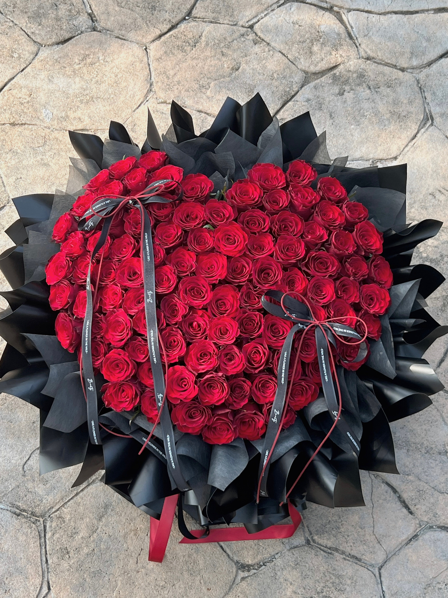 image_267BD5B1-A979-424B-9E4A-6D9330695FE2_1761285584