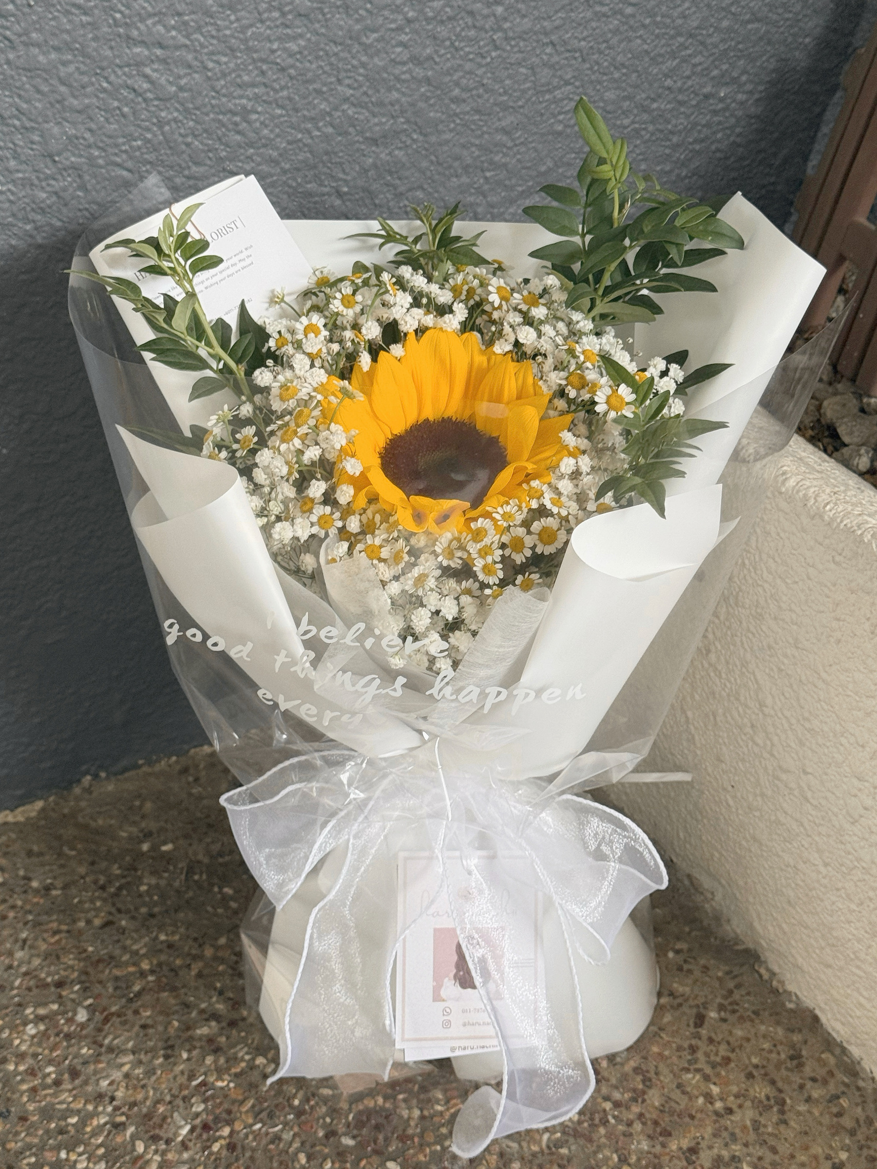 image_C46E0324-5961-4A4A-A9A7-6DE136FE5D59_1762999099