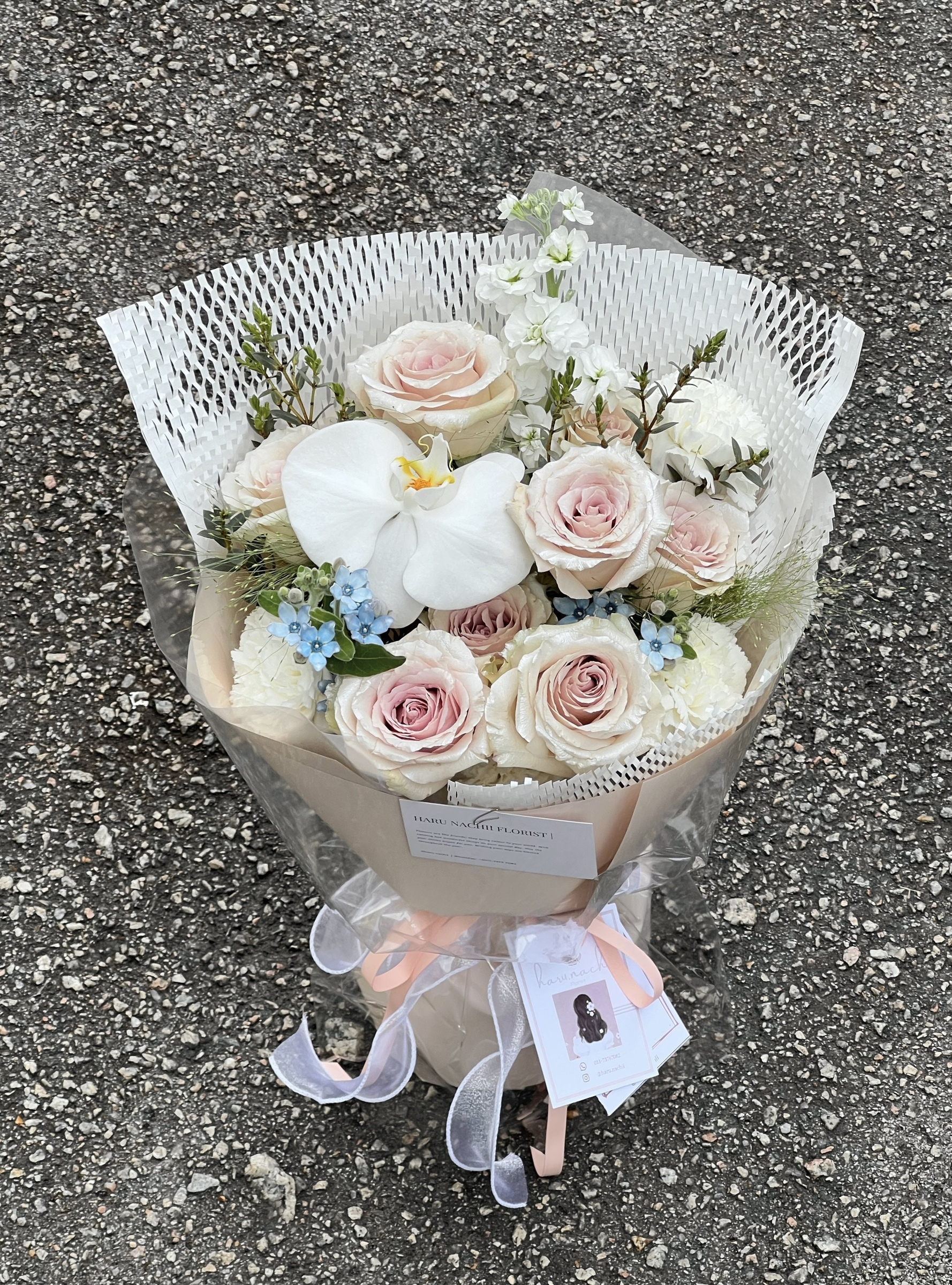 image_A8204112-DA15-47F6-8A9C-AECB131AB55B_1768131952