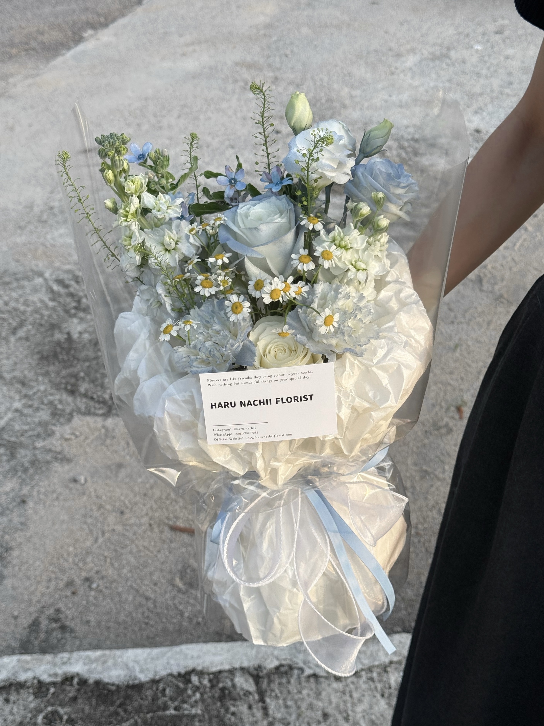 image_78E88600-6C63-49B1-8332-F2020890F76A_1768323951