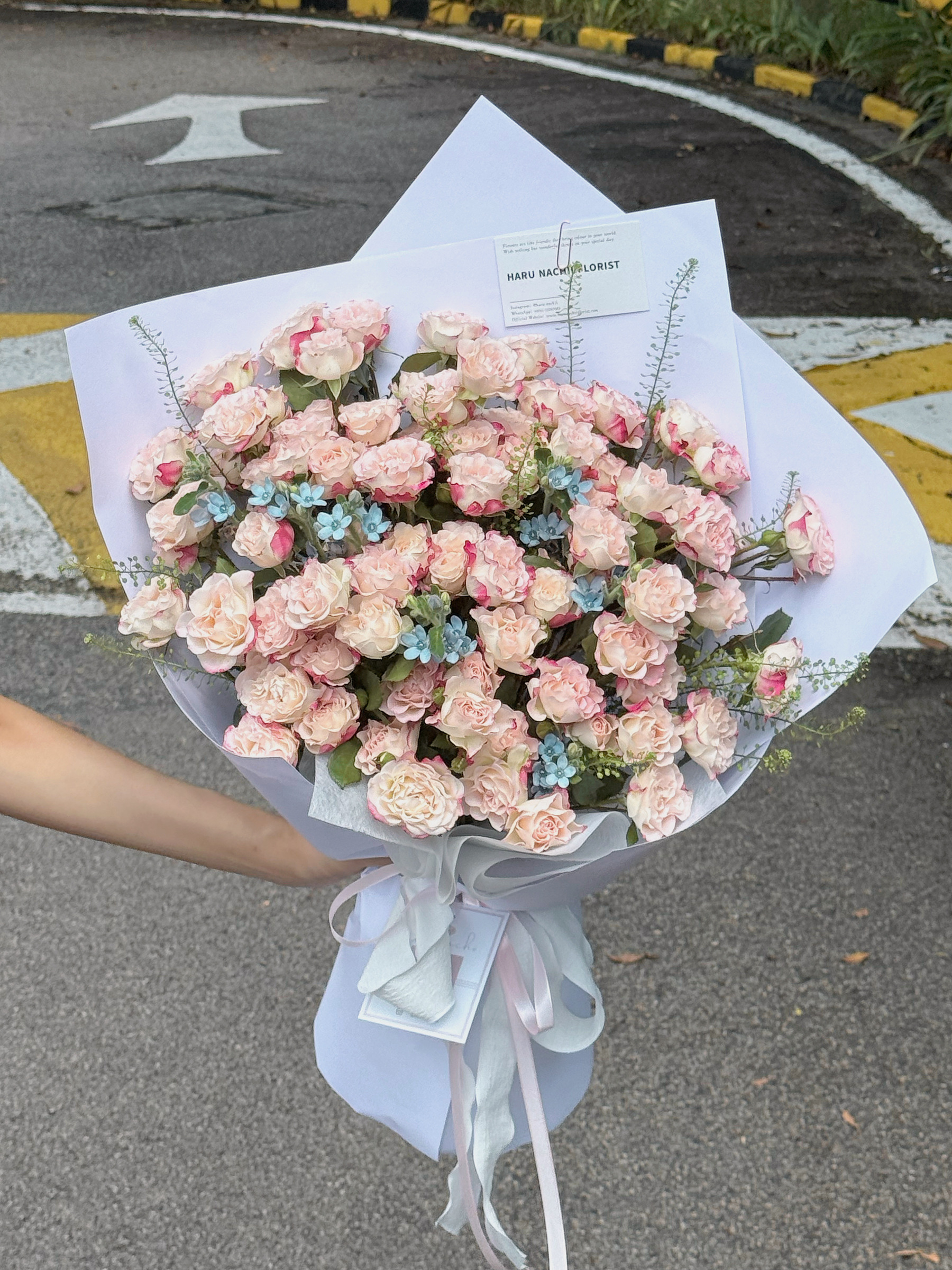 image_C9E95EED-FDC9-4D26-B919-BD86B5EA58C0_1768330492