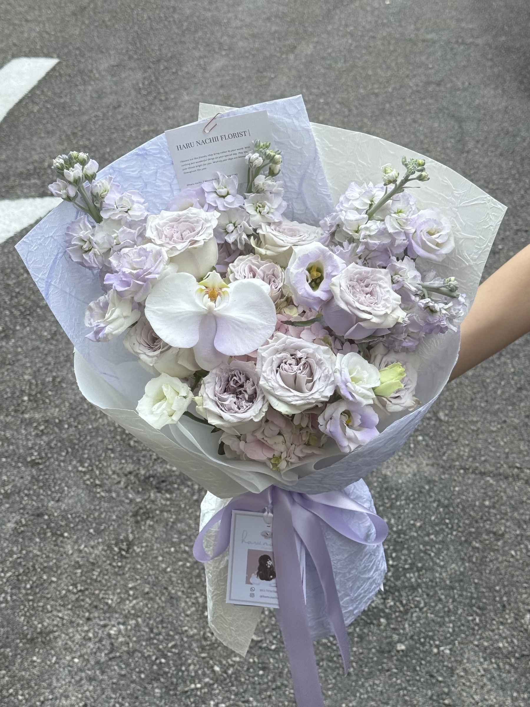 image_614AF8BF-123A-4E6F-A42E-90A0F8F6633A_1768370357