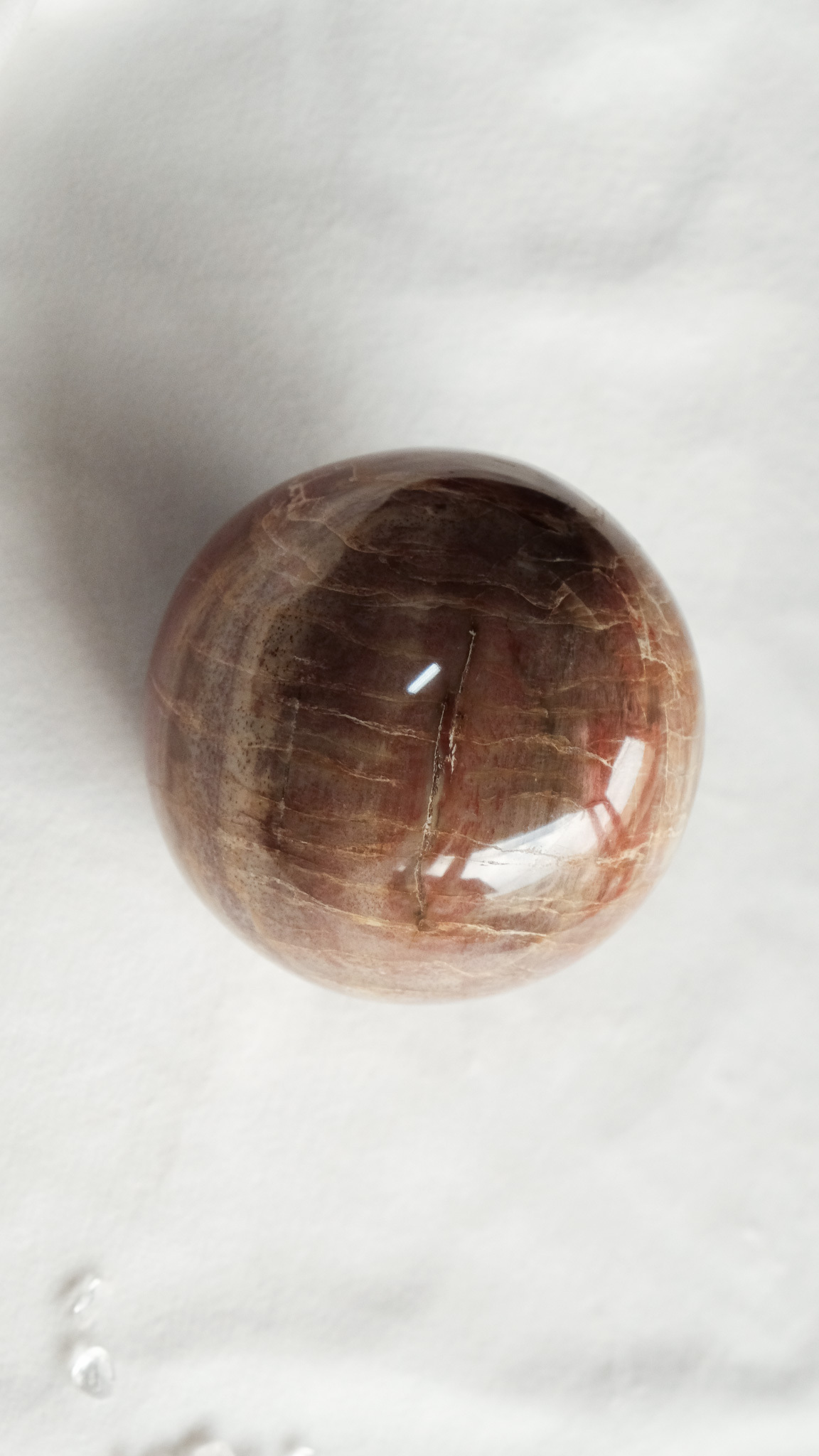 ss0420-026