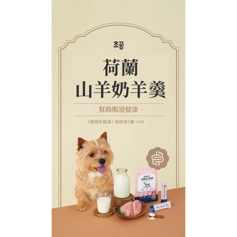 山羊奶羊羹(腸道)_工作區域 1