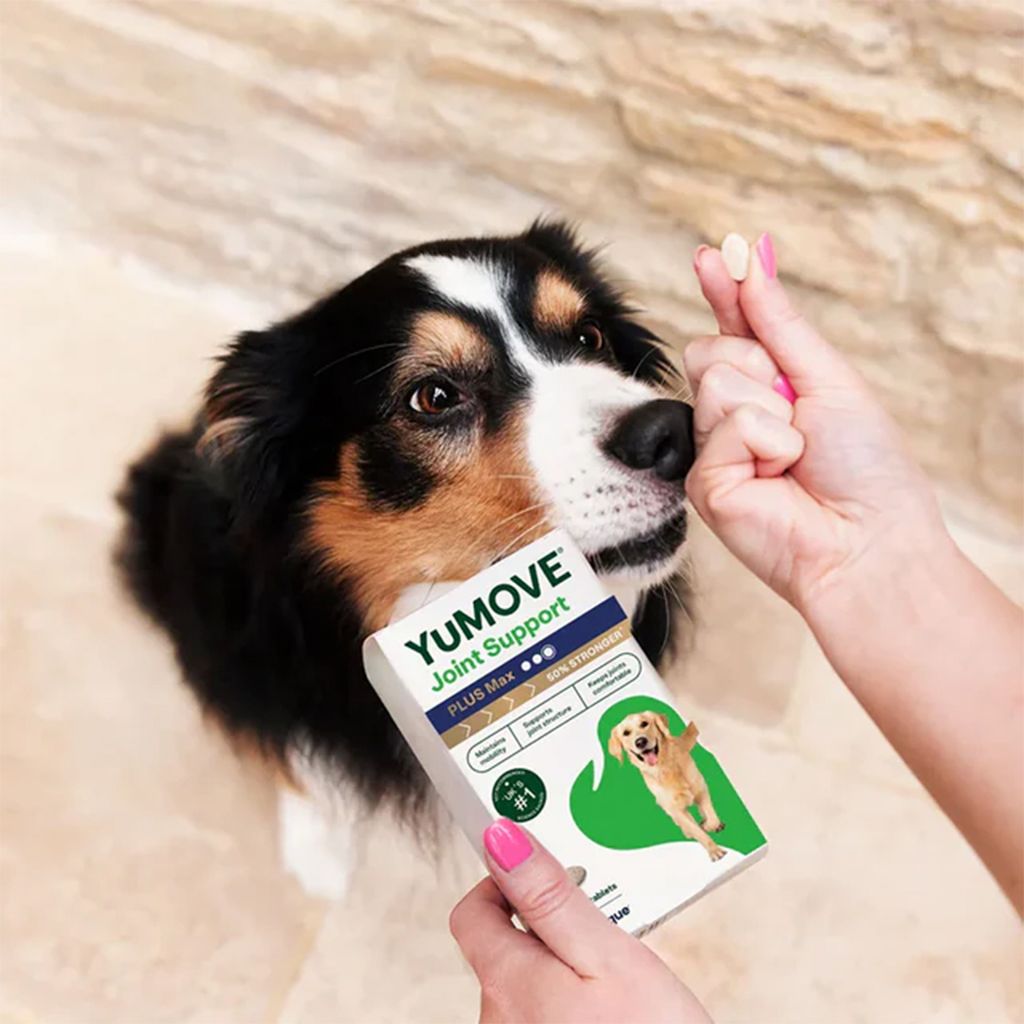 joint-care-yumove-plus-max-120-2026-01