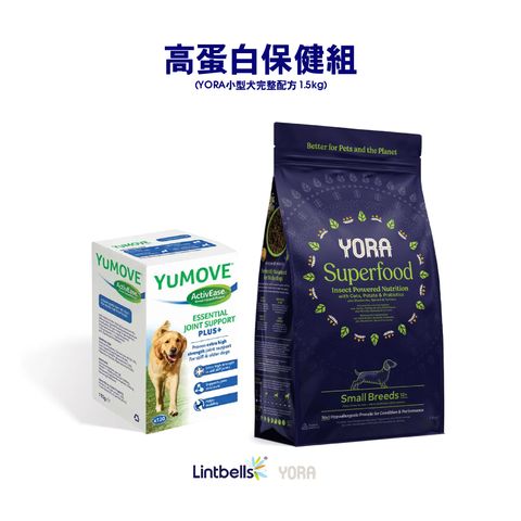 YORA小型犬_工作區域 1