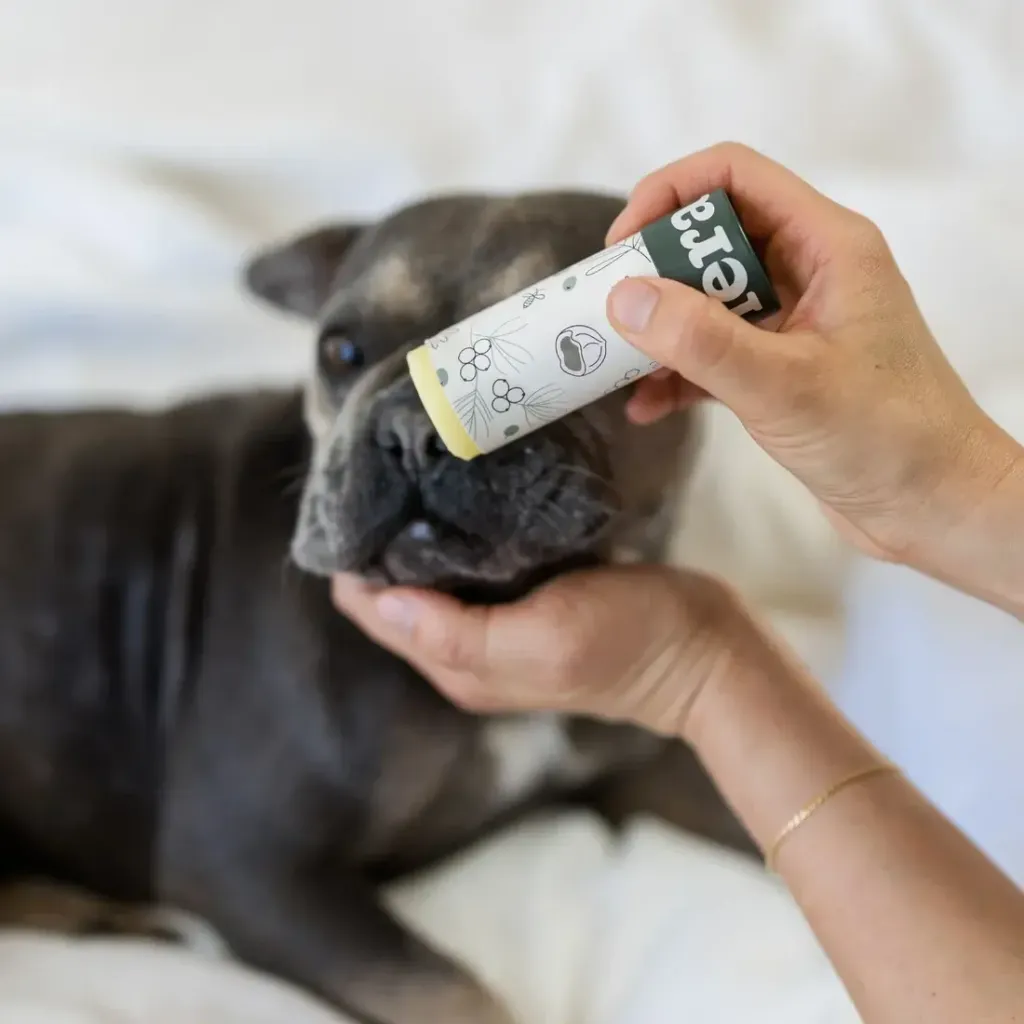 fera-pets-pawbiome-pet-balm-4